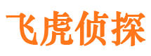 扶绥市私家侦探